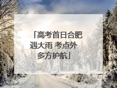 高考首日合肥遇大雨 考点外多方护航