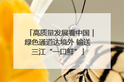 高质量发展看中国｜绿色通道达境外 输送三江“一口鲜”
