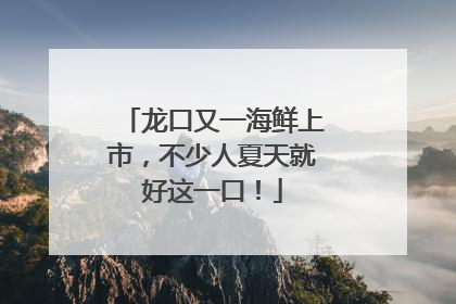 龙口又一海鲜上市，不少人夏天就好这一口！