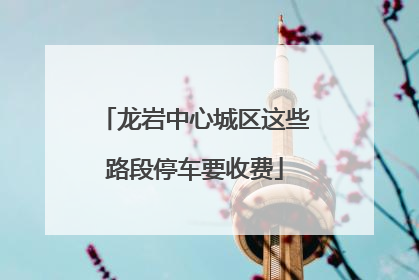 龙岩中心城区这些路段停车要收费