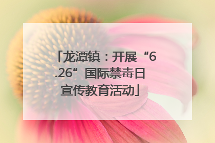 龙潭镇：开展“6.26”国际禁毒日宣传教育活动