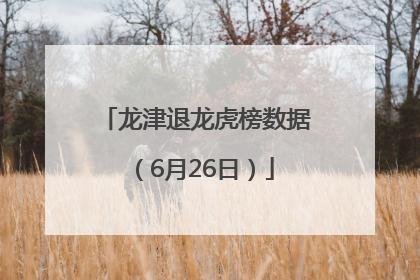 龙津退龙虎榜数据（6月26日）