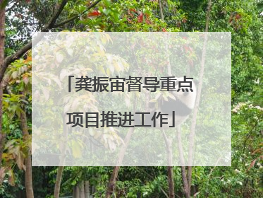 龚振宙督导重点项目推进工作