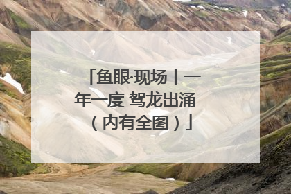 鱼眼·现场丨一年一度 驾龙出涌（内有全图）