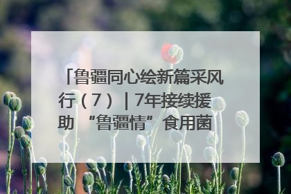 鲁疆同心绘新篇采风行（7）｜7年接续援助 “鲁疆情”食用菌从1.0走向4.0