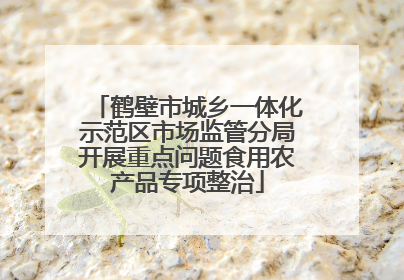 鹤壁市城乡一体化示范区市场监管分局开展重点问题食用农产品专项整治
