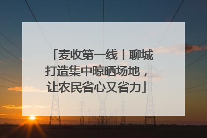 麦收第一线丨聊城打造集中晾晒场地，让农民省心又省力