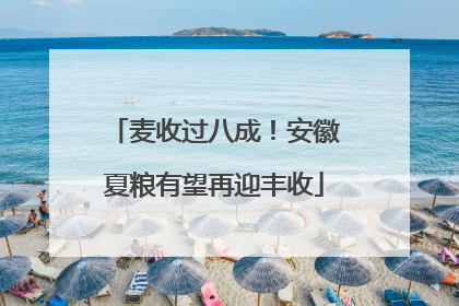 麦收过八成！安徽夏粮有望再迎丰收