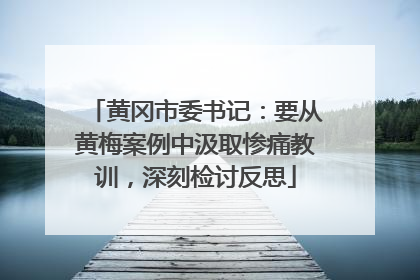 黄冈市委书记：要从黄梅案例中汲取惨痛教训，深刻检讨反思