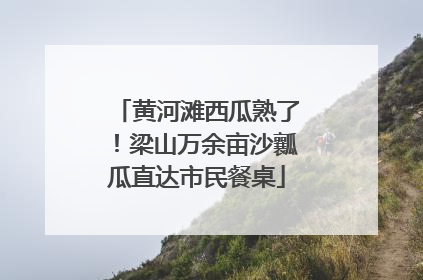 黄河滩西瓜熟了！梁山万余亩沙瓤瓜直达市民餐桌