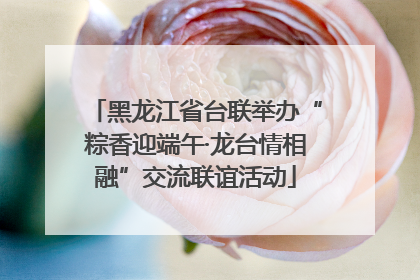 黑龙江省台联举办“粽香迎端午·龙台情相融”交流联谊活动