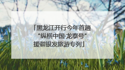 黑龙江开行今年首趟“纵横中国·龙泰号”援疆银发旅游专列