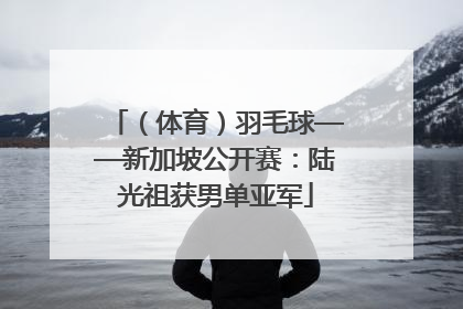 （体育）羽毛球——新加坡公开赛：陆光祖获男单亚军