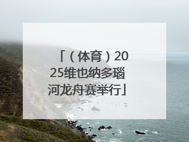 （体育）2025维也纳多瑙河龙舟赛举行