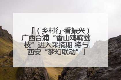 （乡村行·看振兴）广西合浦“香山鸡嘴荔枝”进入采摘期 将与西安“梦幻联动”