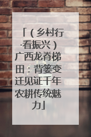 （乡村行·看振兴）广西龙脊梯田：背篓变迁见证千年农耕传统魅力