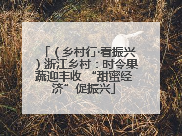 （乡村行·看振兴）浙江乡村：时令果蔬迎丰收 “甜蜜经济”促振兴