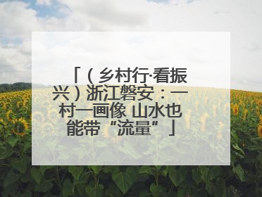 （乡村行·看振兴）浙江磐安：一村一画像 山水也能带“流量”