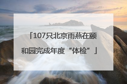 107只北京雨燕在颐和园完成年度“体检”