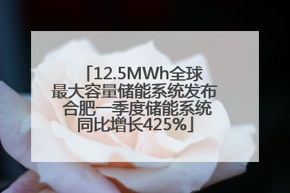12.5MWh全球最大容量储能系统发布 合肥一季度储能系统同比增长425%