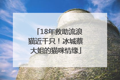 18年救助流浪猫近千只！冰城蔡大姐的猫咪情缘