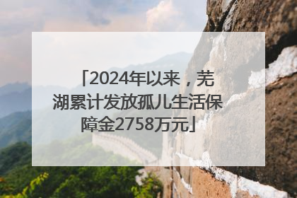 2024年以来，芜湖累计发放孤儿生活保障金2758万元