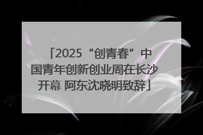 2025“创青春”中国青年创新创业周在长沙开幕 阿东沈晓明致辞