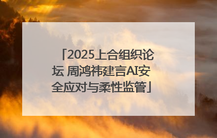 2025上合组织论坛 周鸿祎建言AI安全应对与柔性监管