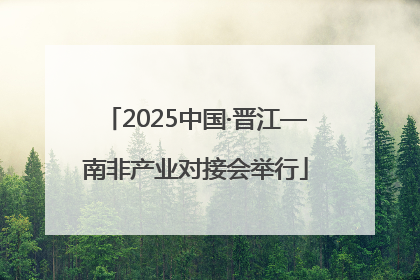 2025中国·晋江—南非产业对接会举行