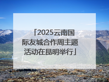 2025云南国际友城合作周主题活动在昆明举行