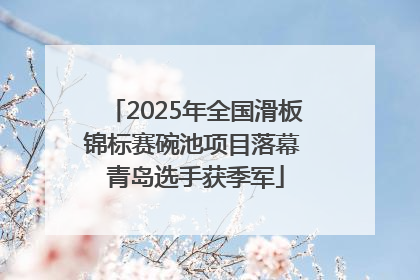 2025年全国滑板锦标赛碗池项目落幕 青岛选手获季军