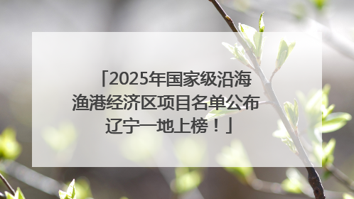 2025年国家级沿海渔港经济区项目名单公布 辽宁一地上榜！