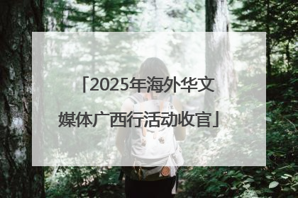 2025年海外华文媒体广西行活动收官