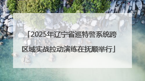 2025年辽宁省巡特警系统跨区域实战拉动演练在抚顺举行