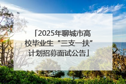 2025年聊城市高校毕业生“三支一扶”计划招募面试公告