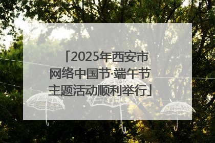 2025年西安市网络中国节·端午节主题活动顺利举行