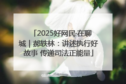 2025好网民·在聊城｜郝轶林：讲述执行好故事 传递司法正能量