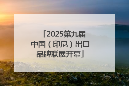 2025第九届中国（印尼）出口品牌联展开幕