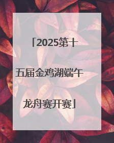 2025第十五届金鸡湖端午龙舟赛开赛
