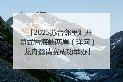 2025苏台邻里汇开幕式暨海峡两岸（洋河）龙舟邀请赛成功举办