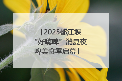 2025都江堰“好嗨啤”消夏夜啤美食季启幕