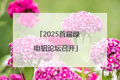 2025首届绿电铝论坛召开