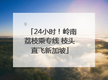 24小时！岭南荔枝乘专线 枝头直飞新加坡