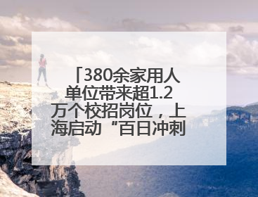 380余家用人单位带来超1.2万个校招岗位，上海启动“百日冲刺”行动