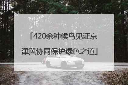 420余种候鸟见证京津冀协同保护绿色之道