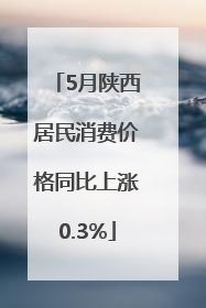 5月陕西居民消费价格同比上涨0.3%