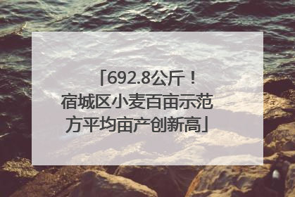 692.8公斤！宿城区小麦百亩示范方平均亩产创新高