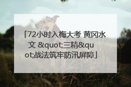 72小时入梅大考 黄冈水文 "三精"战法筑牢防汛屏障
