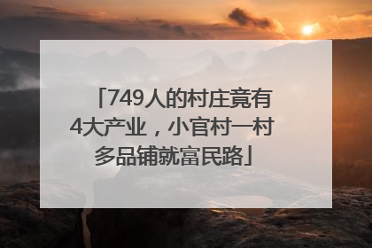 749人的村庄竟有4大产业，小官村一村多品铺就富民路