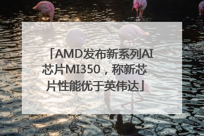 AMD发布新系列AI芯片MI350，称新芯片性能优于英伟达